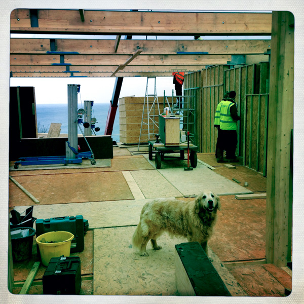 2013-12-10 11.25.37 (2)